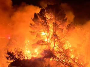 VIDÉOS. Un samedi soir de feu : près de 1900 hectares brûlés après une nuit de flammes entre Pyrénées-Orientales, Aude et Drôme