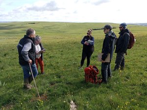 "Par nature, elles sont plus résilientes" : un concours des prairies en Aveyron, un atout contre la canicule