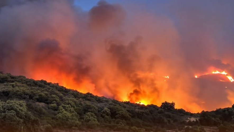 DIRECT Incendies En Occitanie D j 4 600 Hectares D truits Ce Lundi direct-incendies-en-occitanie-d-j-4-600-hectares-d-truits-ce-lundi