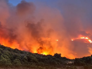 DIRECT. Incendies en Occitanie : déjà 4 600 hectares détruits ce lundi dans les Pyrénées Orientales