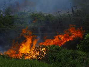 CARTE. Risque de feux de forêt : cinq départements sont placés en vigilance rouge par Météo France, ce jeudi 9 juillet
