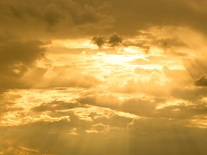 CARTES. Météo : des orages dans la canicule, 37 départements en vigilance jaune au sud et en Bretagne ce vendredi