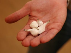 "De plus en plus variées", toujours plus disponibles : comment la consommation de drogues continue d'augmenter