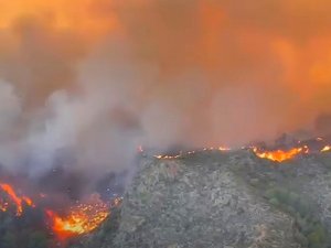 VIDÉOS. Les touristes étrangers voulaient fuir les incendies en voiture ou à pied : 12 morts et 23 disparus dans les flammes en Andalousie
