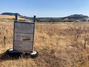 Hôpital commun du Sud-Aveyron : un chantier qui menace l'alouette et la chauve-souris, la communauté de communes réagit