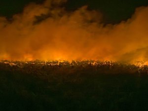 De la simple délinquance au "syndrome du héros" : l'un des deux jeunes ayant reconnu être à l'origine des incendies de Fontainebleau était pompier