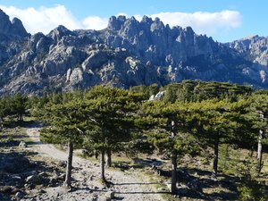 Plus de 200 randonneurs bloqués dans un refuge sur le GR20 en Corse par un incendie, ce que l'ont sait