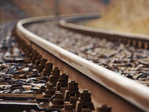 Le train ne peut éviter le troupeau couché sur la voie ferrée : une vingtaine de vaches sectionnées sous le choc