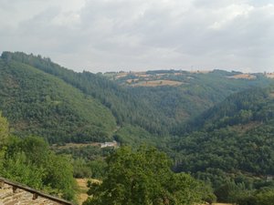 Les forêts livrent leurs secrets (1/7) : l'Aveyron, belle terre de bois, avec 270 000 hectares, il se classe parmi les départements les plus boisés de France