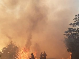 CARTE. Feux de forêts : avec de fortes chaleurs dans le sud de la France, 36 départements en alerte élevée ou très élevée, dont presque toute l'Occitanie
