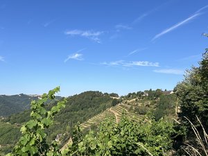 Suivez le guide... et les sentiers (2/7) : de la terre au verre, entre forêts, vignobles et prairies, partez randonner à la découverte du Fel