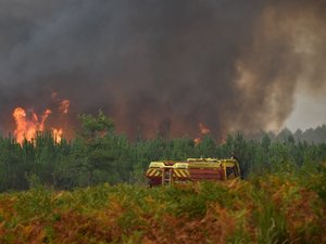 DIRECT. Incendies en Gironde : la presqu'île touristique de Cap-Ferret "vidée", au moins 3 700 hectares détruits par les flammes, 23 000 personnes évacuées, les agriculteurs appelés en renfort