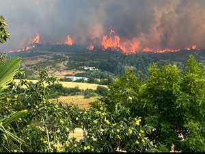 Incendie dans le Tarn : parti d'un bâtiment en flammes, un feu gagne de l'ampleur ce vendredi soir, déjà 50 hectares en fumée et des évacuations