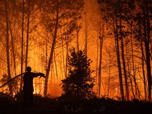 Incendie en Gironde : un phénomène de "pyrocumulonimbus" a été observé en marge de ce feu, de quoi s'agit-il ?
