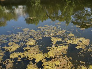 Avec un fort déficit pluviométrique en Aveyron, de nouvelles restrictions de prélèvement de l'eau sont entrées en vigueur
