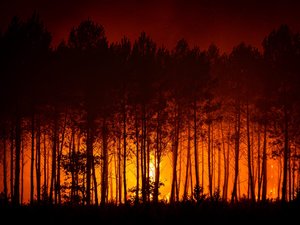 "Plusieurs semaines voire plusieurs mois" : l'incendie qui frappe la Gironde est-il parti pour s'éterniser ?
