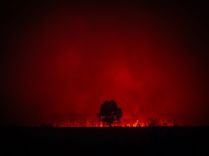 DIRECT. Incendies : feu toujours "stabilisé" en Gironde mais "fixé" dans les Landes, retour de la chaleur... suivez cette journée du mardi 28 juillet avec nous