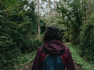 Elle ne rejoint pas le refuge où elle est attendue : la disparition d'une randonneuse déclenche une vaste opération de secours... Elle avait changé d'itinéraire sans prévenir