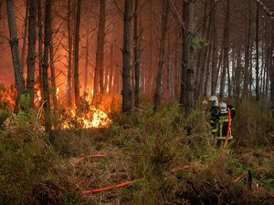 CARTES. Risque de feux de forêt : la vigilance orange activée dans 65 départements ; en Occitanie, dix sont placés en risque élevé ce mercredi 29 juillet