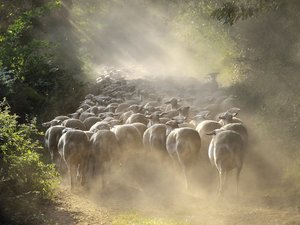 L'Aveyron dans l'objectif de... (4/7) : Gilles Tordjeman : "J'ai toujours rêvé de voyager et j'ai pu le faire grâce à la photographie"