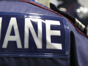 Course-poursuite avec les douaniers : le fuyard et ses passagers s'encastrent contre un arbre, un mort et trois blessés graves