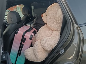 Les douaniers mettent la main sur un ours géant en peluche avec 158 kg de cannabis à l'arrière de la voiture : le convoyeur qui devait empocher 10 000 ¬, condamné à... 529 000 ¬ d'amende et trois ans de prison