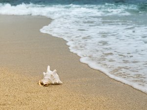 VIDÉO. Des sacs de congélation s'échouent sur une plage de Méditerranée et sont découverts par des vacanciers : ils étaient bien remplis... Mais pas de courses