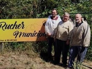 Canicule : la récolte du miel s'annonce prometteuse dans cette commune de l'Aveyron, le public invité à assister à son extraction ce mardi 4 août