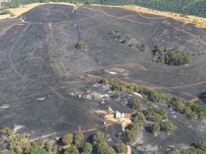 "Une ligne électrique a créé un arc électrique qui a mis le feu au sol" : 41 hectares de végétation détruits par un incendie en Aveyron, plus de soixante-dix pompiers ont été engagés