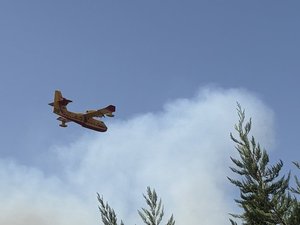 Incendie près de Carcassonne : une voiture prend feu sur l'A61 et enflamme la végétation, 250 pompiers engagés, 60 camions, de gros moyens aériens, 100 ha parcourus et 50 brûlés