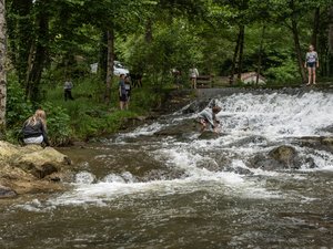 Votre été en Aveyron : la rivière Viaur et ses gorges profondes, le veau d'Aveyron, embarquez pour une aventure aux racines du Ségala