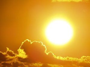 CARTE. Canicule : jusqu'à 40°, doit-on craindre une cinquième vague de chaleur à partir du 11 août ?