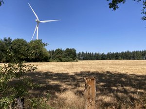 Suivez le guide... et les sentiers (6/7) : une invitation à la fraîcheur autour de Pont-de-Salars en partant randonner , le long de chemins tracés entre les lacs du Lévézou et la vallée du Viaur