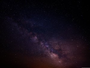 En raison des fortes chaleurs, il décide d'attendre que la nuit tombe pour sortir promener son chien et chute de plusieurs mètres, il doit son salut à des arbustes !