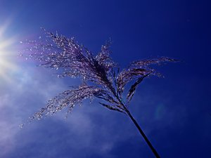 CARTE. Météo : quatre nouveaux départements basculent en vigilance orange canicule ce samedi 8 août, une vingtaine en jaune, quelles sont les régions impactées ?