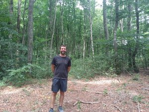 Les forêts et leurs secrets (4/7). "On n'a peu d'exemples d'agriculteurs qui font le choix de cette gestion" : en Aveyron, une exploitation fait cohabiter agriculture et bois