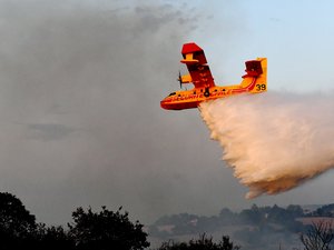 Important incendie en Lozère : deux communes évacuées aux portes de l'Aveyron ce dimanche, plusieurs hectares de forêts brûlent