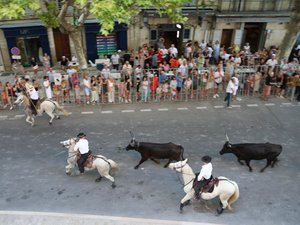 VIDÉO. Le taureau s'échappe dans cette fête votive d'Occitanie, des plaies et des bosses pour les spectateurs