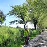 Les touristes à vélo représentent un atout économiquepour les villes et villages traversés par la V86.