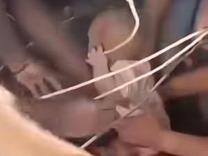 VIDÉO. Miracle après le séisme en Colombie : une femme et son bébé retirés vivants des décombres
