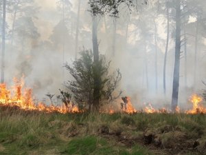 Plusieurs départs de feu ce mardi 11 août en Aveyron, une quinzaine d'hectares brûlés, les pompiers sur le qui-vive