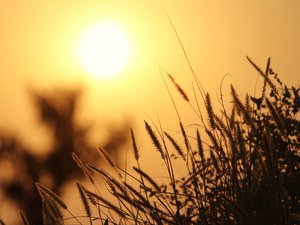 CARTE. Météo : la 5e canicule vient commencer à écraser la France de chaleur, 78 départements en vigilance orange