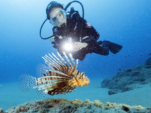 Poisson-lion, poisson-lapin, poisson-globe... Une nouvelle espèce, parfois mortelle, s'installe en Méditerranée toutes les deux semaines à cause du réchauffement climatique