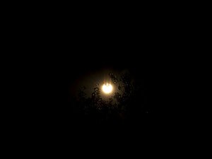 Éclipse solaire du 12 août : si vous n'avez pas de lunettes, suivez de votre canapé le direct de l'Agence spatiale européenne dès 19 h 30