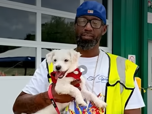Jeté vivant dans une poubelle : après l'avoir vidée dans la benne de son camion, l'éboueur découvre un chien et décide de l'adopter