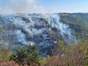 L'incendie de Livinhac-le-Haut toujours en cours : une quarantaine de sapeurs-pompiers sur le front