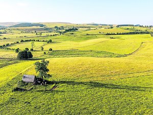 Votre été en Aveyron : entre ciel infini et grands espaces, partez à la découverte du plateau de l'Aubrac, sauvage et libre, façonné par les quatre éléments