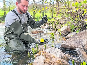 "Le réchauffement des cours d'eau a un impact direct sur le métabolisme des poissons" : les pêcheurs sur tous les fronts face à la canicule