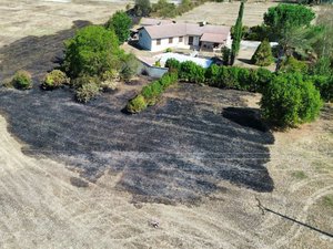 VIDÉO. Une cigogne en flammes s'écrase et provoque un incendie qui menace une maison, des jeunes qui sortaient d'un Mac Do donnent l'alerte
