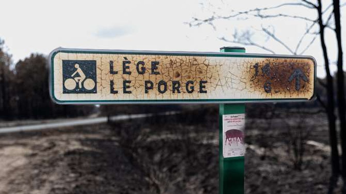 porge
